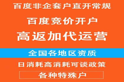百度SEO推广公司服务效果评估：多案例对比分析